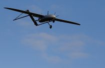 مسؤول إيراني يؤكد إسقاط الجيش طائرة مسيّرة "أجنبية" 