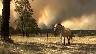 Buschfeuer wüten in Australien