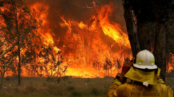 Leste da Austrália ameaçado por "inferno" de fogo Leste da Austrália ameaçado por "inferno" de fogo