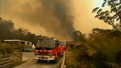 Australia: circondati dal fuoco, uomini e animali cercano scampo