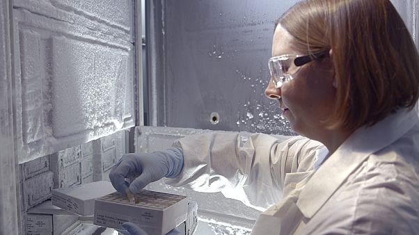 ABD'de yeni HIV alt türünü tanımlayan laboratuvar ABD'de yeni HIV alt türünü tanımlayan laboratuvar