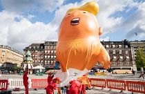 Baby Trump balonuna bıçaklı saldırı