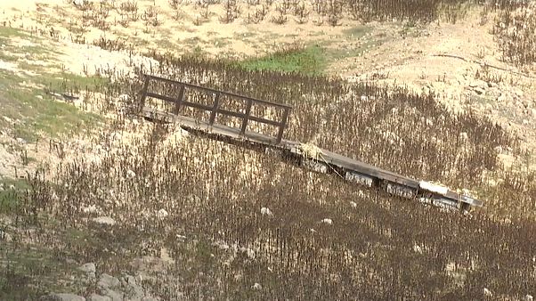 Resultado de imagem para Em Portugal agricultura sofre com seca e má gestão de recursos hídricos