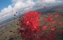 750,000 poppies dropped over the Battle of Britain memorial as part of Remembrance day