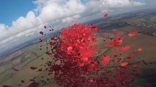 750,000 poppies dropped over the Battle of Britain memorial as part of Remembrance day