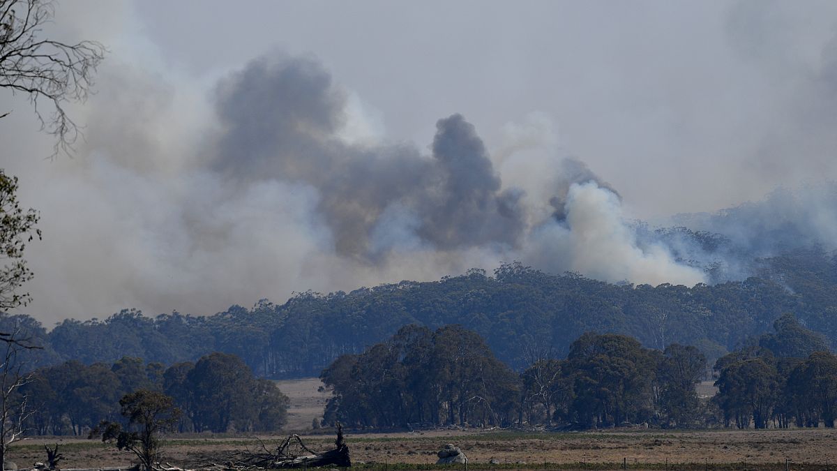 شاهد: حرائق الغابات في أستراليا.. جحيمٌ على الأرض والسلطات تعلن حالة الطوارئ