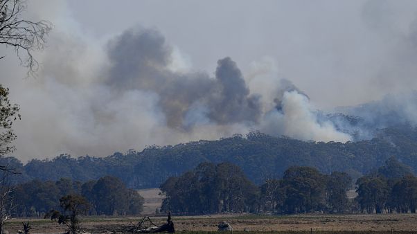 Сидней во власти огненной стихии Сидней во власти огненной стихии