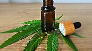 Two cannabis-based medicines approved for Britian's NHS
