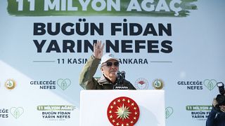 Recep Tayyip Erdoğan ağaç dikme etkinliğinde