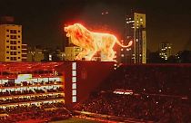 Огненный лев на стадионе