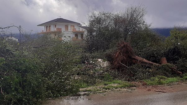 Πεσμένο δέντρο από την κακοκαιρία στα Ιωάννινα (αρχείο) Πεσμένο δέντρο από την κακοκαιρία στα Ιωάννινα (αρχείο)
