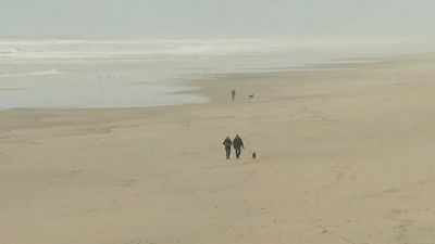 شاهد:  طرود الكوكايين تجتاح سواحل منطقة الجيروند في غرب فرنسا 