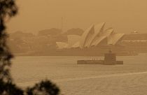 سیدنی در محاصره آتش