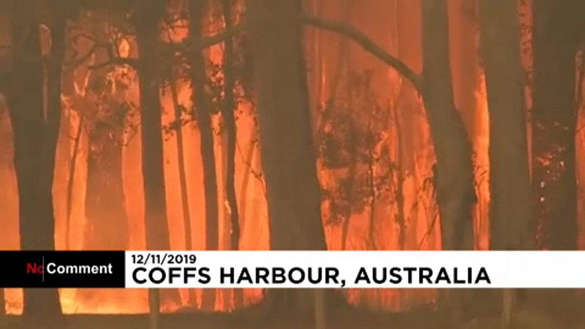 شاهد: استمرار محاولات إطفاء حرائق الغابات في أستراليا 