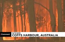 Egyhetes szükségállapot a tüzek miatt Új-Dél-Walesben