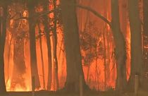 Les incendies en Australie s'intensifient et se rapprochent de Syndey