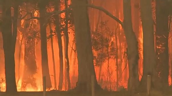 Les incendies en Australie s'intensifient et se rapprochent de Syndey Les incendies en Australie s'intensifient et se rapprochent de Syndey