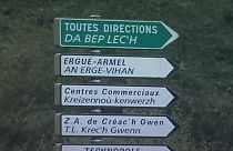 Decemberben élesítik a Minority SafePack kezdeményezést