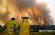 Incêndios na Austrália estão cada vez mais intensos