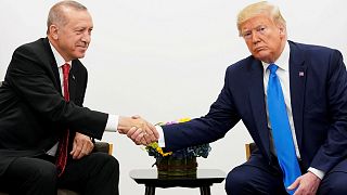 U.S. President Donald Trump shakes hands during a bilateral meeting with Turkey's President Tayyip Erdogan during the G20 leaders summit in Osaka, Japan, June 29, 2019.