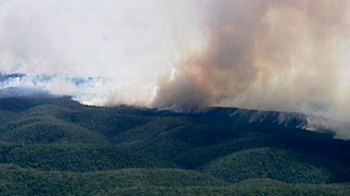 Buschbrände an der Ostküste: Evakuierungen an beliebtem Touristenort