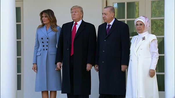 Erdogan, "un amico" alla Casa Bianca. I curdi: "Ancora bombe turche" Erdogan, "un amico" alla Casa Bianca. I curdi: "Ancora bombe turche"