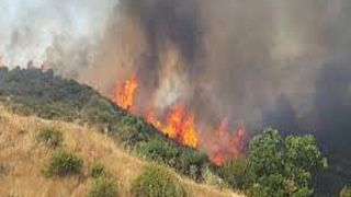 Υπό πλήρη έλεγχο η πυρκαγιά στο Εθνικό Δασικό Πάρκο Ακάμα