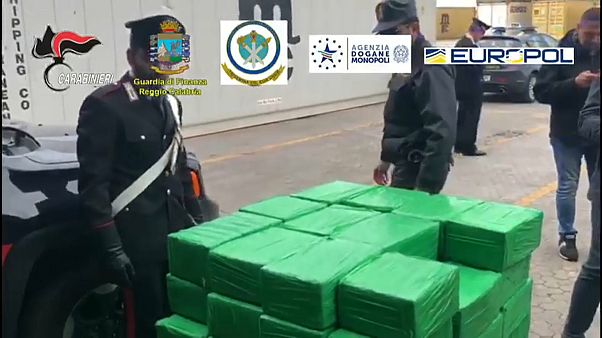 Cocaina per più di una tonnellata sequestrata a Gioia Tauro Cocaina per più di una tonnellata sequestrata a Gioia Tauro