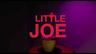 Cinema: "Little Joe", una pianta unica