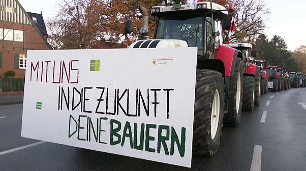 3.500 Traktoren: Landwirte demonstrieren im Konvoi in Hamburg 3.500 Traktoren: Landwirte demonstrieren im Konvoi in Hamburg