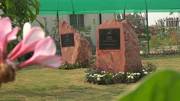 Stèles en mémoire de deux éléphants dans le mémorial de Mathura en Inde Stèles en mémoire de deux éléphants dans le mémorial de Mathura en Inde