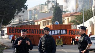 French police stand guard as Greenpeace activists block the entrance of the Total biodiesel refinery at La Mede near Fos-sur-Mer, France October 29, 2019.