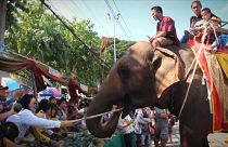 Elefánt Show Thaiföldön