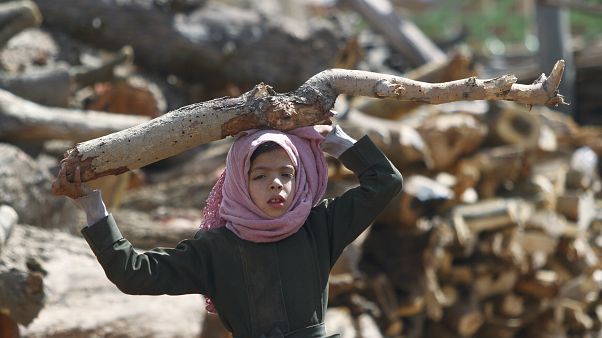 فتاة تحمل الحطب في أحد الأسواق في ظل نقص الوقود وغاز الطهي في صنعاء باليمن فتاة تحمل الحطب في أحد الأسواق في ظل نقص الوقود وغاز الطهي في صنعاء باليمن
