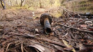 German children fish out WWII ammunition from pond