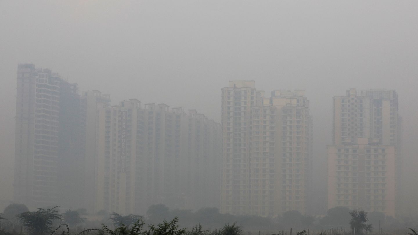 Ich Muss Atmen Um Zu Leben Indische Schuler Gegen Luftverschmutzung Euronews