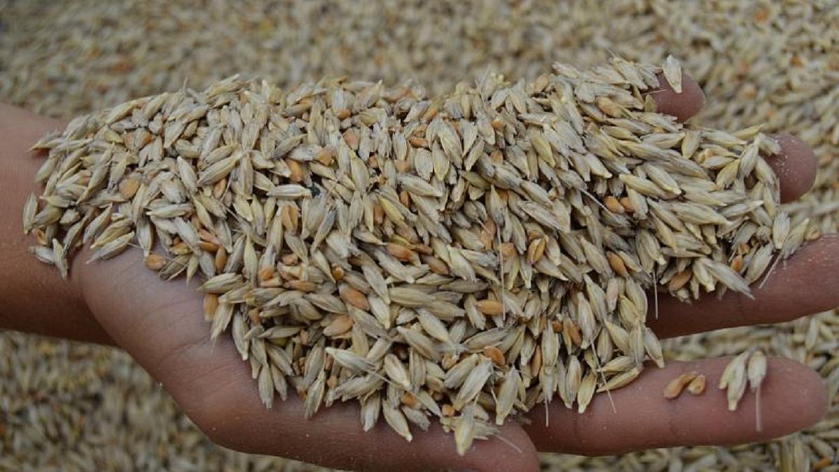 Türkiye'de buğday üretimi, tüketimi ne kadar karşılıyor?