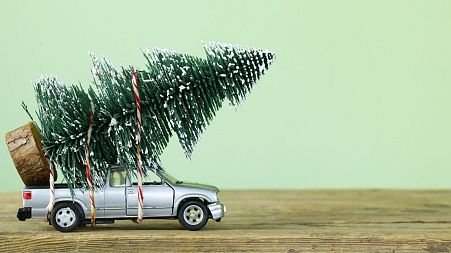 There are lots of different options available when you choose your Christmas tree this year