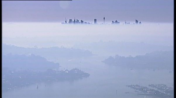 Australien: Waldbrände sorgen für schlechte Luft in Sydney Australien: Waldbrände sorgen für schlechte Luft in Sydney