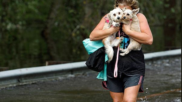 Fransa'da köpeklerin saldırısına uğrayan hamile kadın yaşamını yitirdi Fransa'da köpeklerin saldırısına uğrayan hamile kadın yaşamını yitirdi
