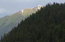 Les forêts caucasiennes menacées par les activités humaines