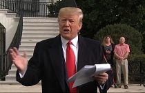 Procédure de destitution contre Trump : l'interprétation du "quid pro quo" ou donnant-donnant