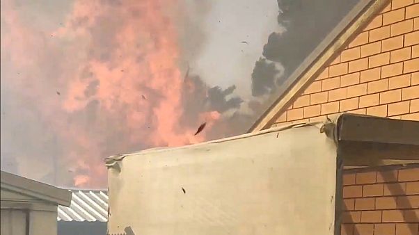 L'Australie impuissante face aux incendies L'Australie impuissante face aux incendies