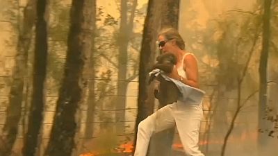 Incêndios florestais colocam Austrália sob alerta