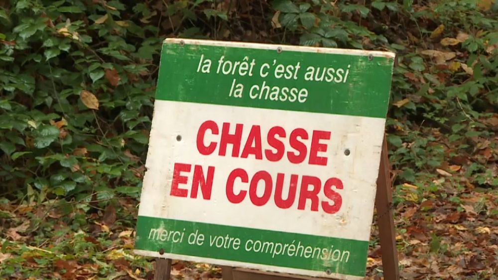 Des chiens tuent une femme en France, le conjoint accuse une chasse à courre