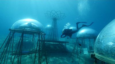 Piantagioni subacquee, agricoltura del futuro