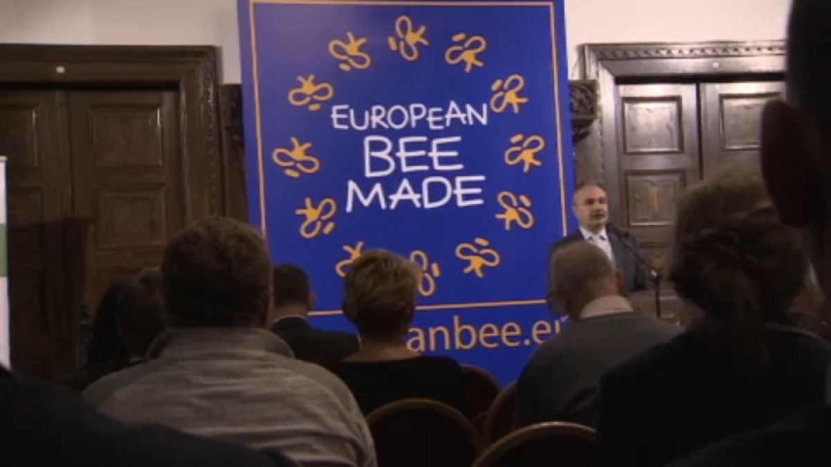 Abelhas já têm uma associação europeia para se defenderem