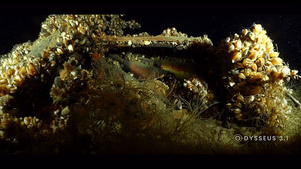 Buzos de Odysseus encuentran armamento peligroso de la Segunda Guerra Mundial en un lago suizo Buzos de Odysseus encuentran armamento peligroso de la Segunda Guerra Mundial en un lago suizo