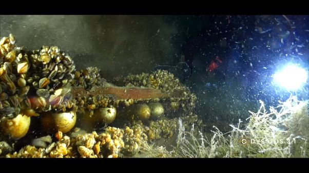 Umweltschützer schlagen Alarm: Tonnenweise Munition im Genfer See Umweltschützer schlagen Alarm: Tonnenweise Munition im Genfer See