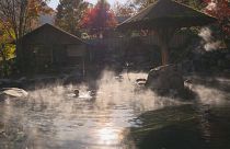 Entspannung auf Japanisch: Ein Bad im Onsen